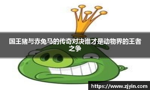 星空体育